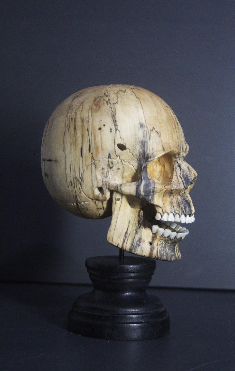 Vanitas, bois de tamarinier et os-photo-2