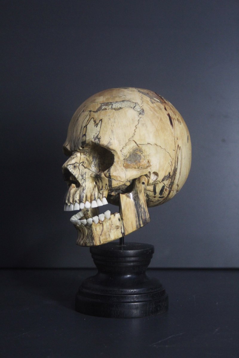 Vanitas, bois de tamarinier et os-photo-3