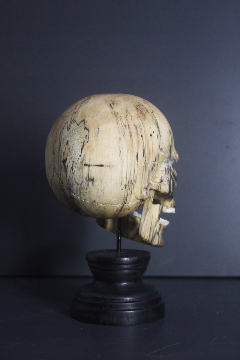 Vanitas, bois de tamarinier et os-photo-4