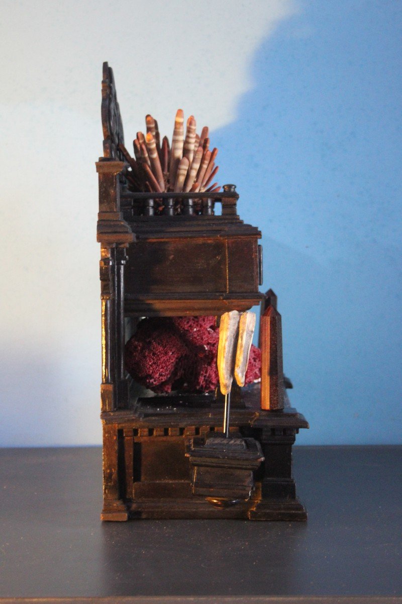 Cabinet Of Curiosities, Naturalia-photo-3