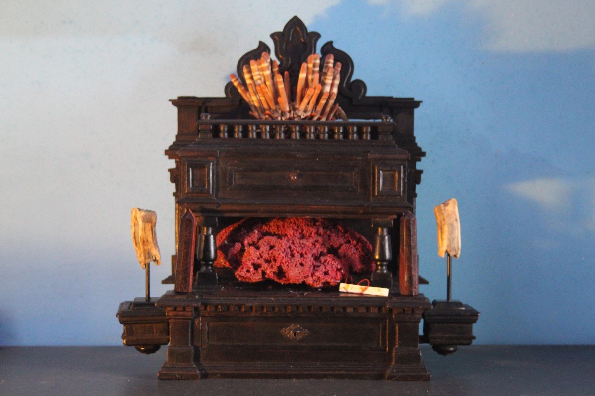 Cabinet Of Curiosities, Naturalia-photo-1