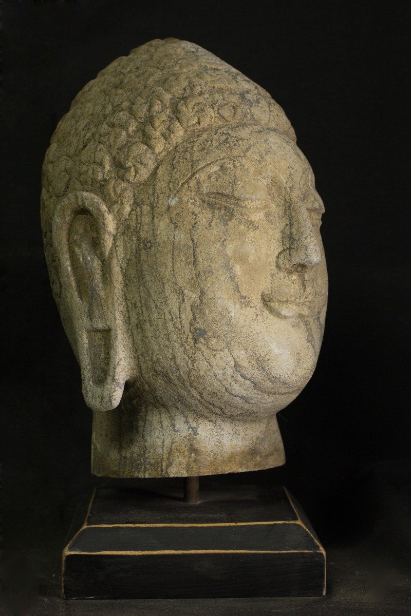 Buddha’s Head In Stone-photo-4