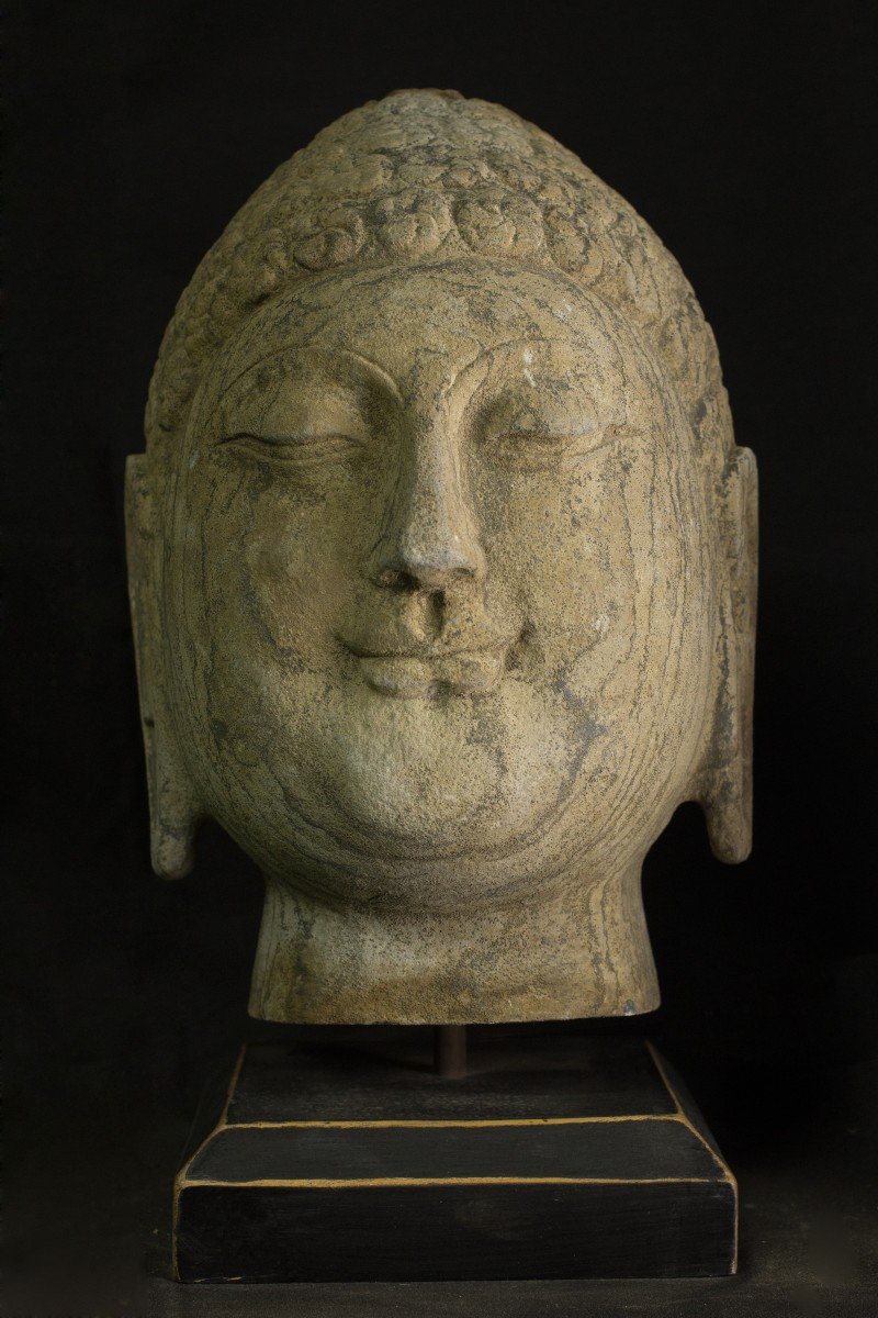 Buddha’s Head In Stone