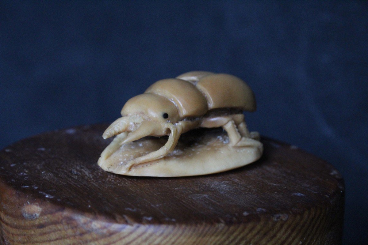 Japanese Signed Netsuke, Carved In Vegetable Ivory - Tagua Nut-photo-2