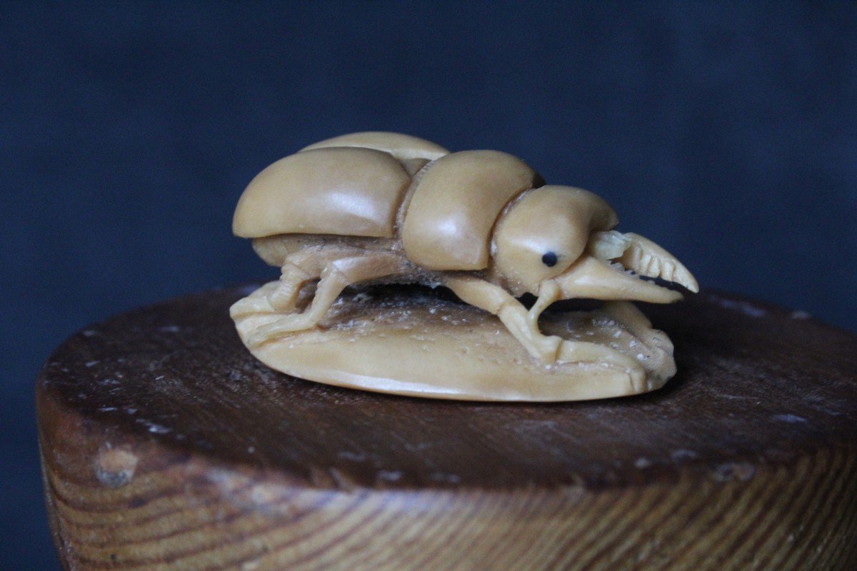 Japanese Signed Netsuke, Carved In Vegetable Ivory - Tagua Nut