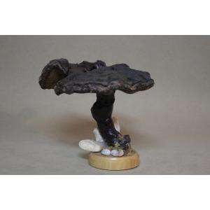 Mushroom Fomes Fomentarius, Vintage Botanical Collectible Educational Model