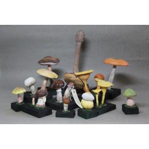 Collection De 11 Modèles Didactiques De Champignons – République Tchèque, Années 60-70