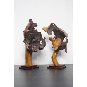 Natural Sculptures, Burl – Spontaneous Organic Formations