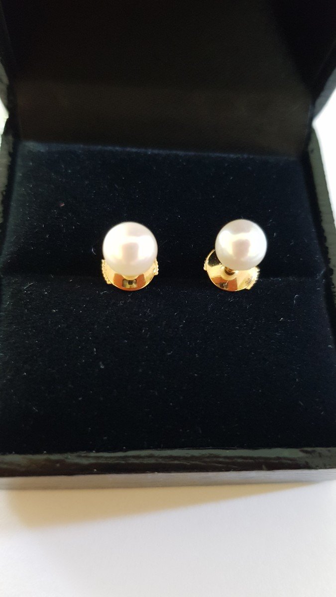 Boucles d'Oreilles  Or- Perle