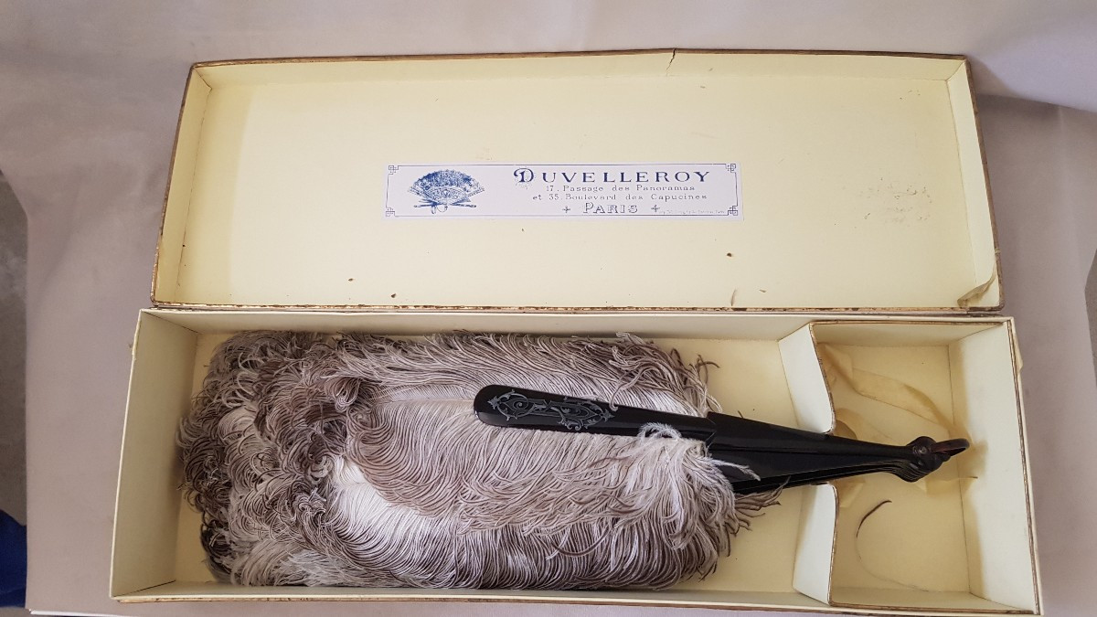 Eventail plumes d'autruche et écaille  DUVELLEROY-photo-2