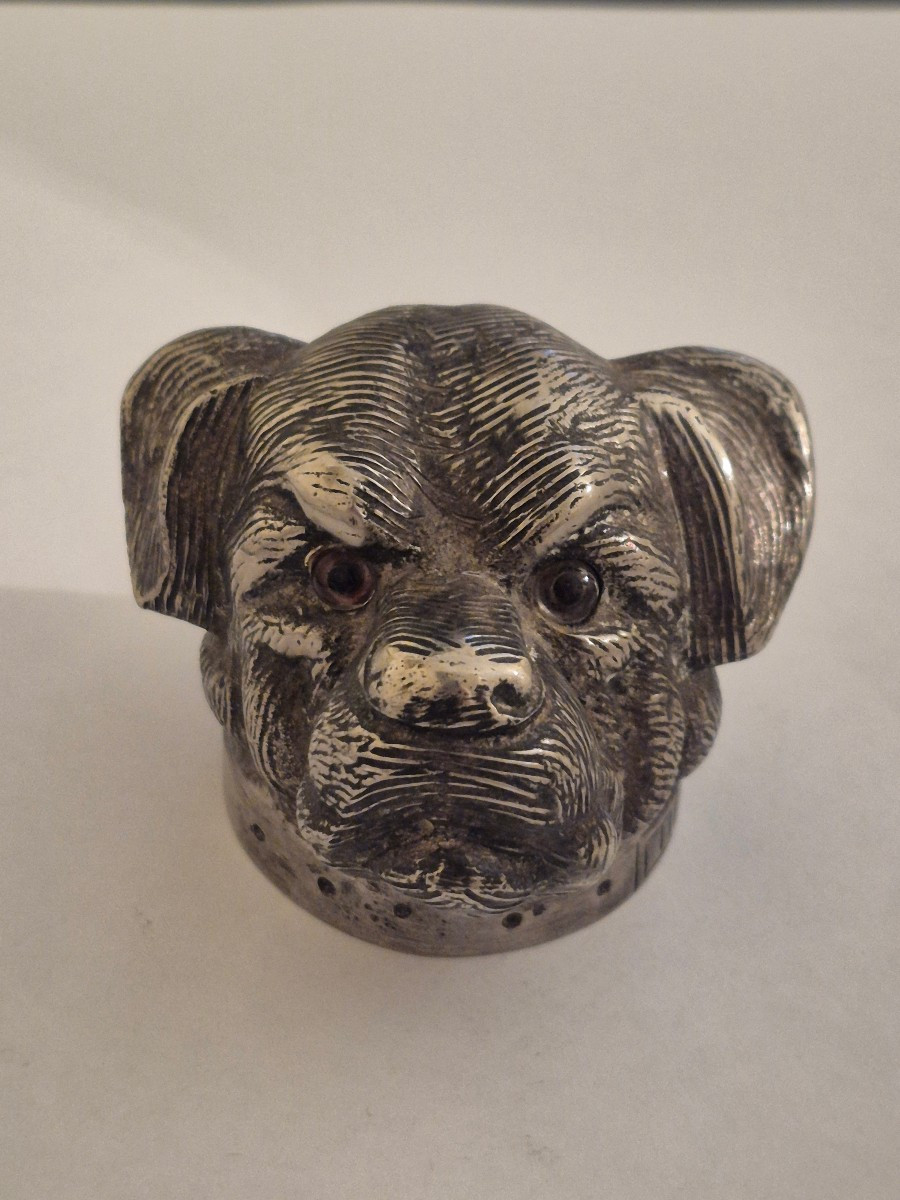 Tête de chien bronze-photo-2
