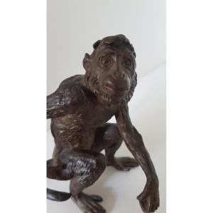 Bronze Monkey From Vienna 19th
