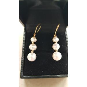 Gold And Pearl Drop Earrings