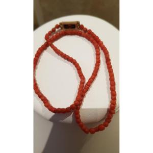 Coral Beads Necklace - Gold