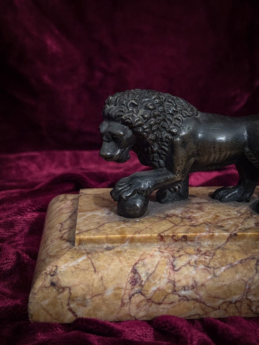 Lion Médicis en bronze à patine brune sur socle en marbre, XIXe siècle.-photo-4