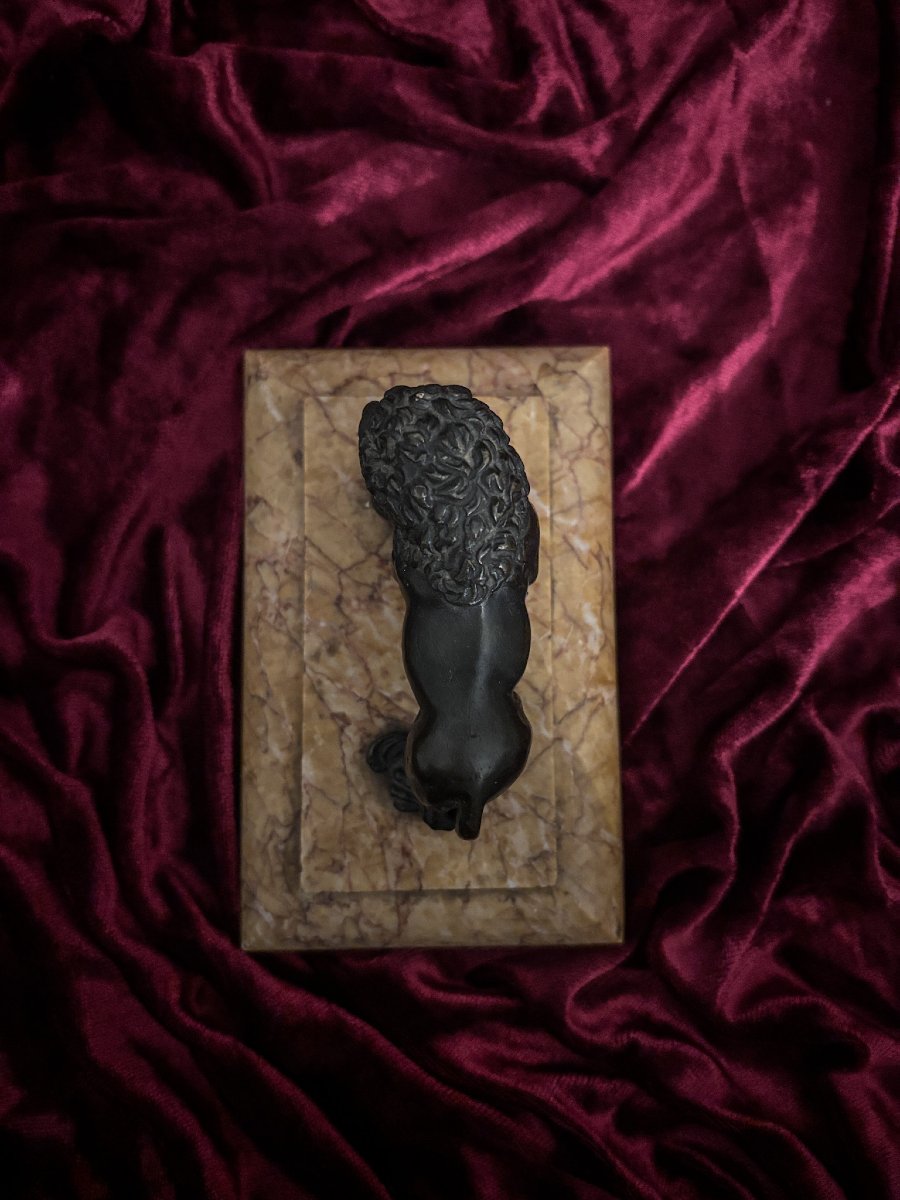 Lion Médicis en bronze à patine brune sur socle en marbre, XIXe siècle.-photo-1