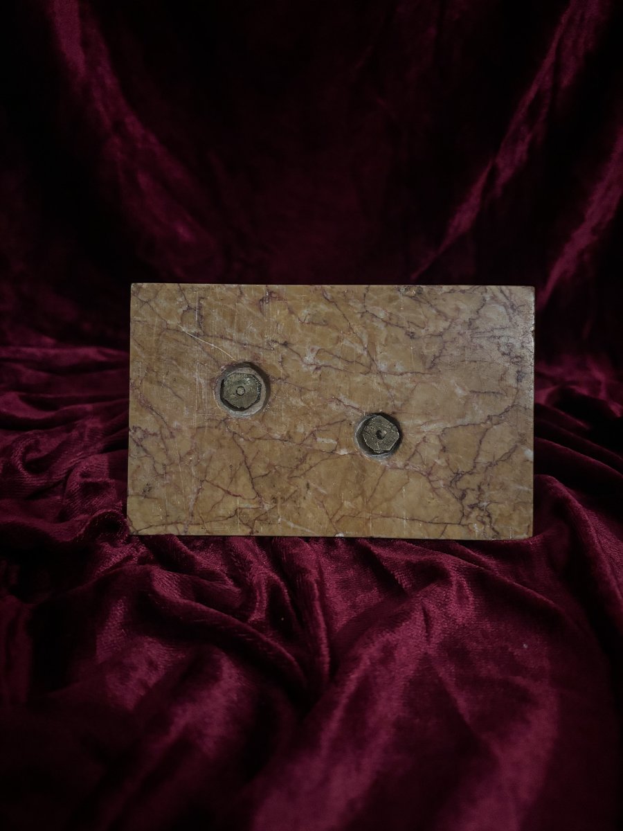 Lion Médicis en bronze à patine brune sur socle en marbre, XIXe siècle.-photo-2