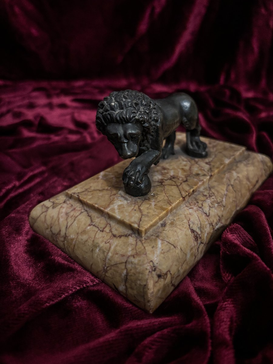 Lion Médicis en bronze à patine brune sur socle en marbre, XIXe siècle.-photo-3
