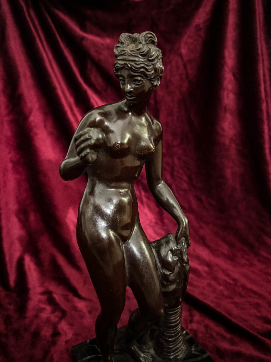 Vénus en bronze à l'antique - fin du XIXe siècle. -photo-2