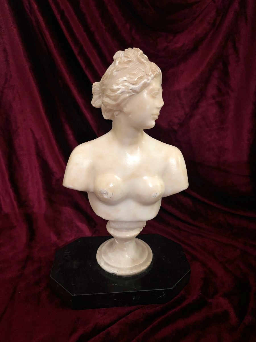 Bust Of Venus In Alabaster, Italy, Late 19th Century