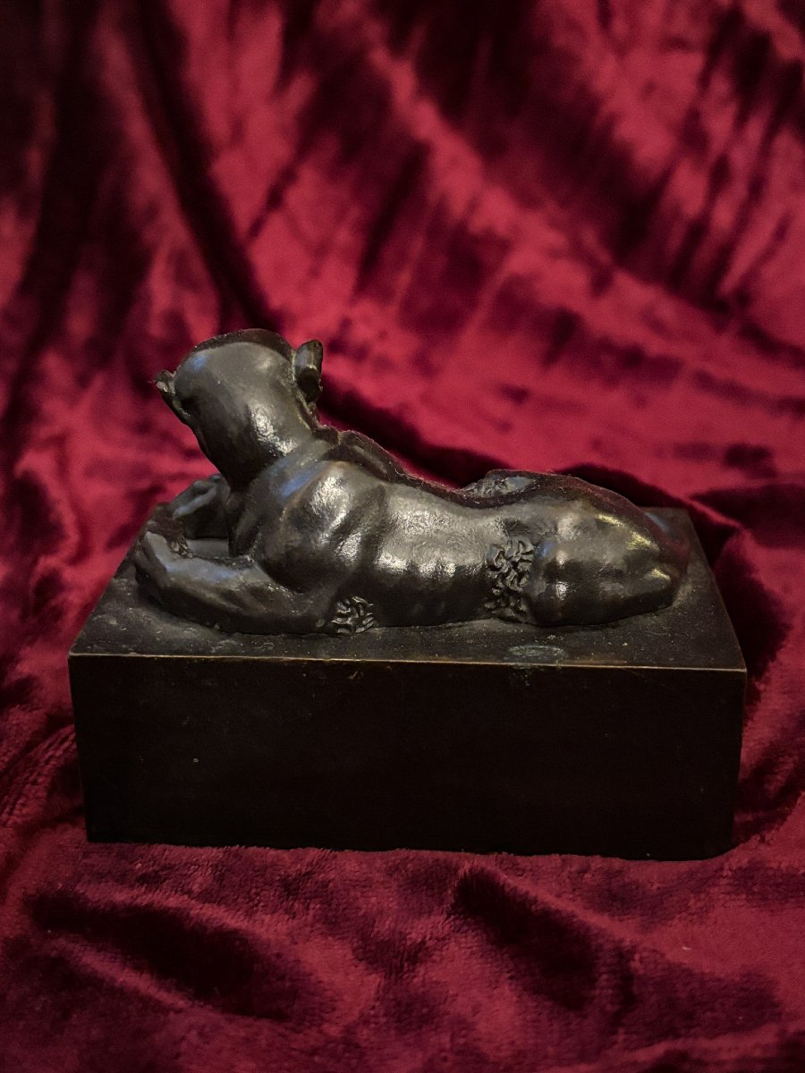 Lionne en bronze à l'antique - XIXe siècle-photo-3