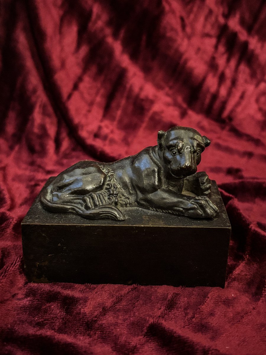Lionne en bronze à l'antique - XIXe siècle
