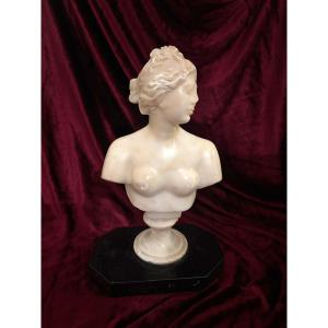 Bust Of Venus In Alabaster, Italy, Late 19th Century