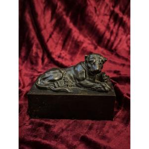 Antique-style Bronze Lioness - 19th Century