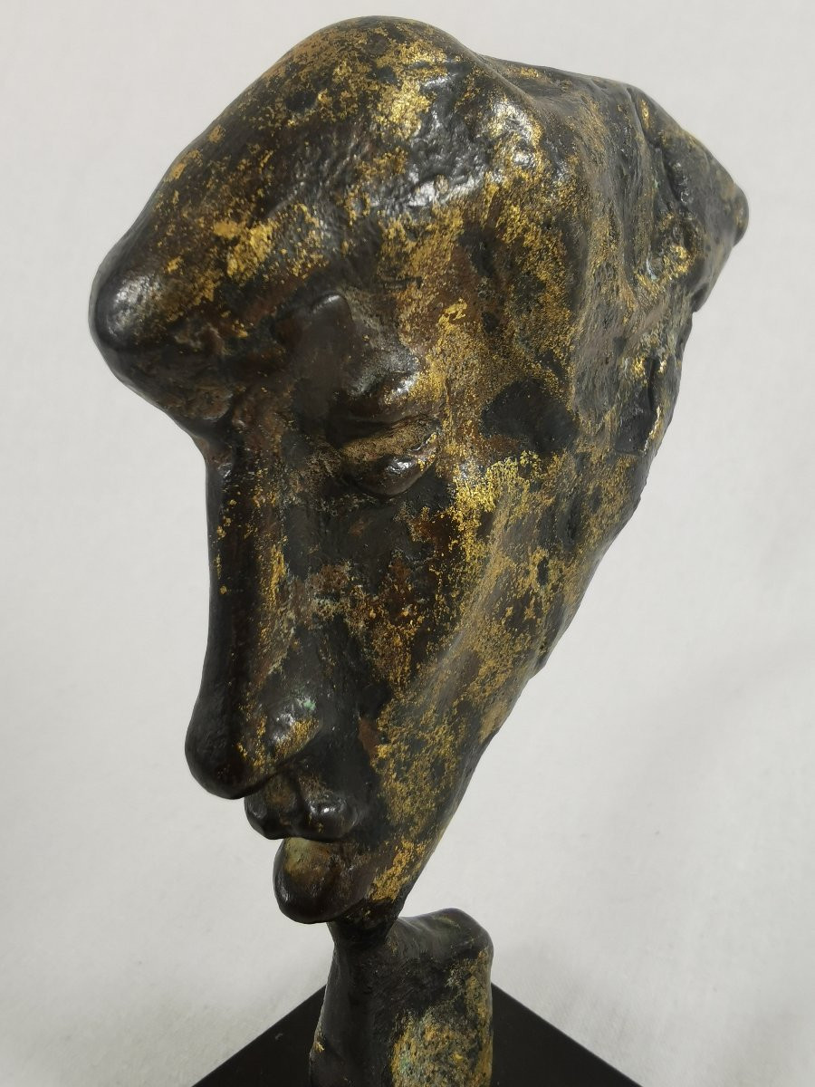 Bronze Sculpture, Calabrian Profile By G Busato 1974 Monnaie De Paris -photo-4