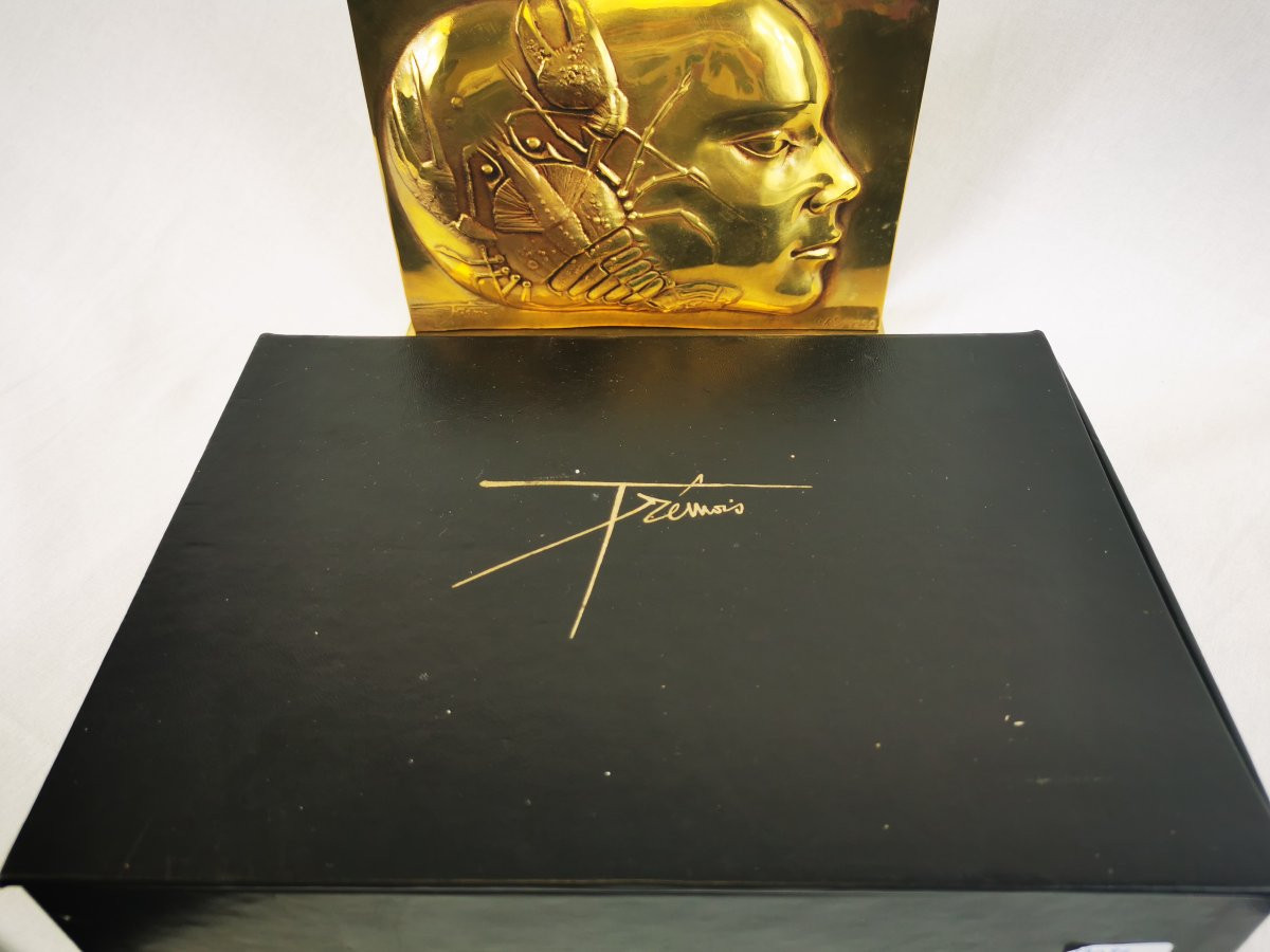 Decorative Bronze Plaque Signed Jean Yves Trémois -photo-6