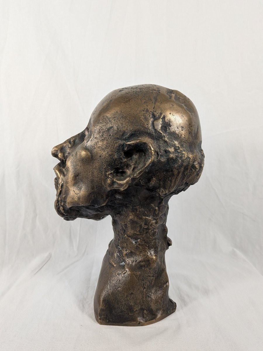 Bronze Bust Of Hippocrates Signed Jean Roulland (1931-2021)-photo-7