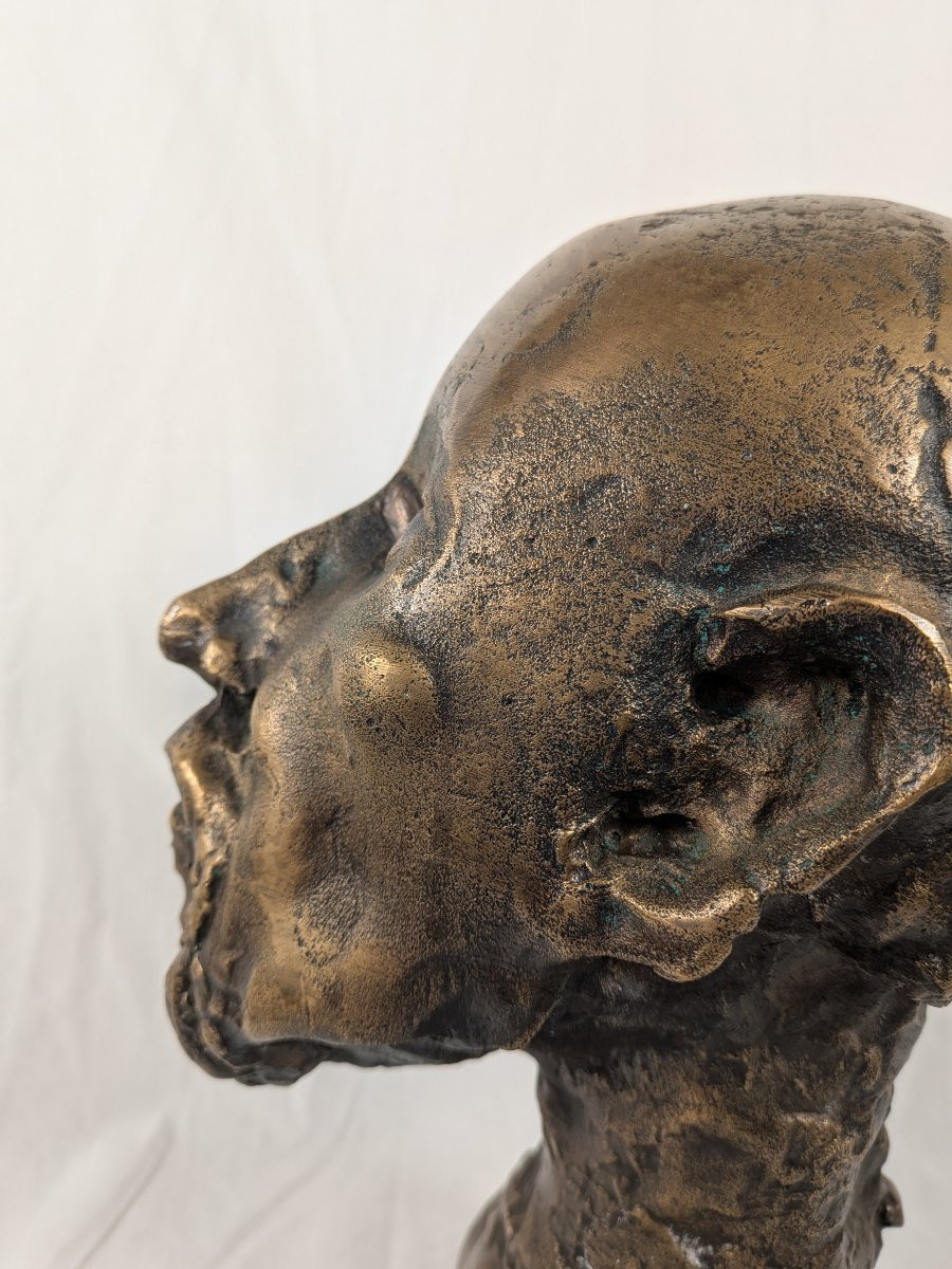 Bronze Bust Of Hippocrates Signed Jean Roulland (1931-2021)-photo-8