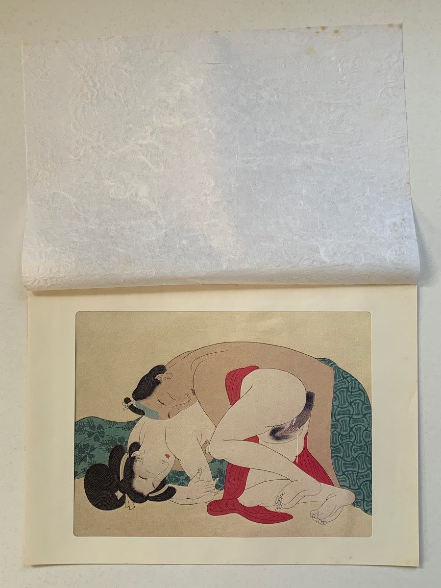 10 Japanese Erotic Prints, Shunga, After Fukujusô (adonis Ramosa) By Katsushika Hokusai-photo-8