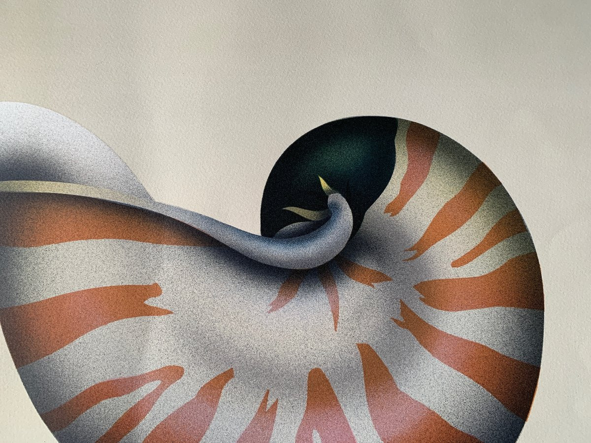 Original Lithograph On Vellum By Jean Paul Donadini, 1980, The Swan, Shell And Daffodil-photo-2