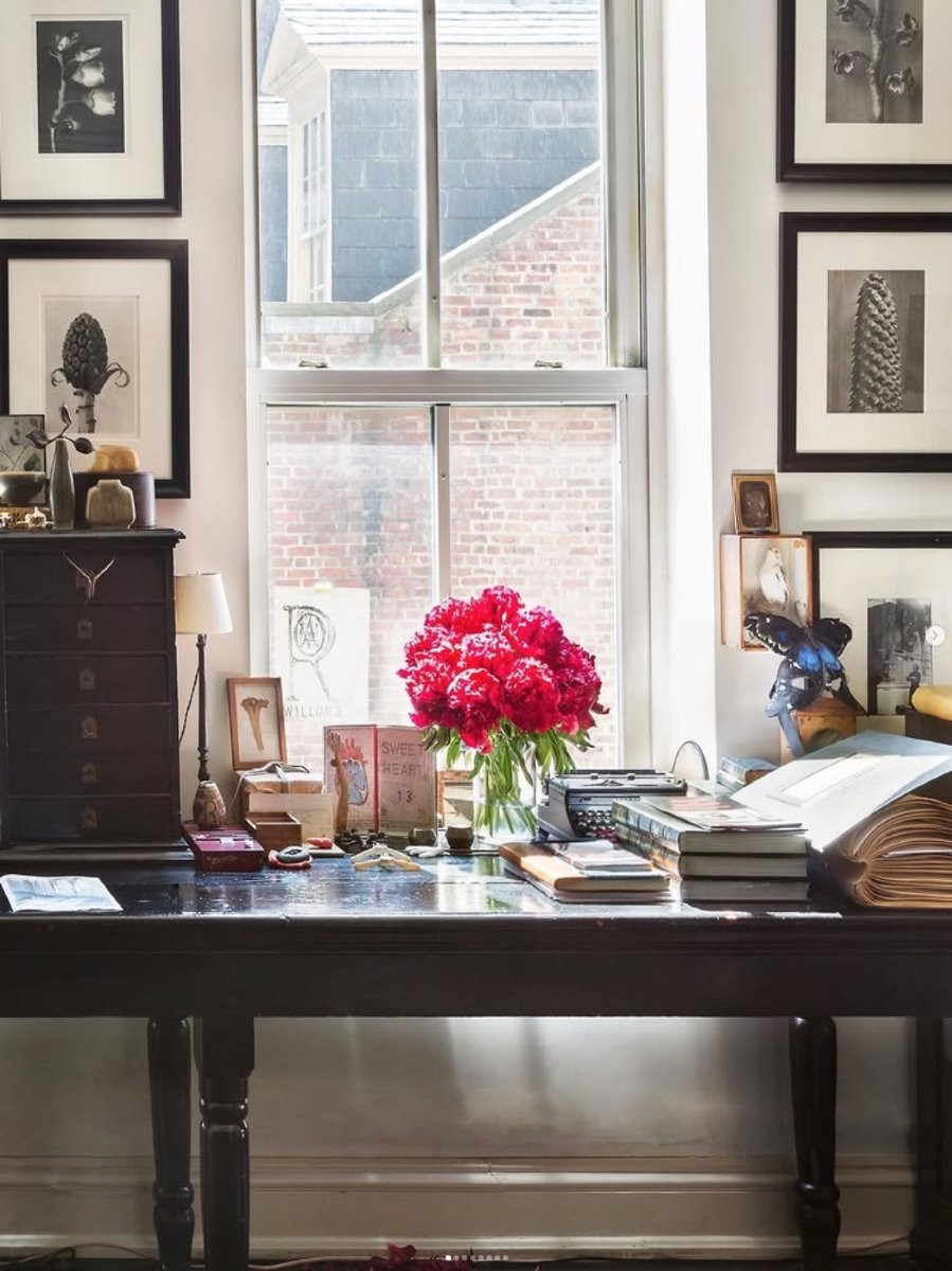 Karl BLOSSFELDT Wunder in der Natur, Héliogravure sur papier, 1942, Planche No. 1-photo-1