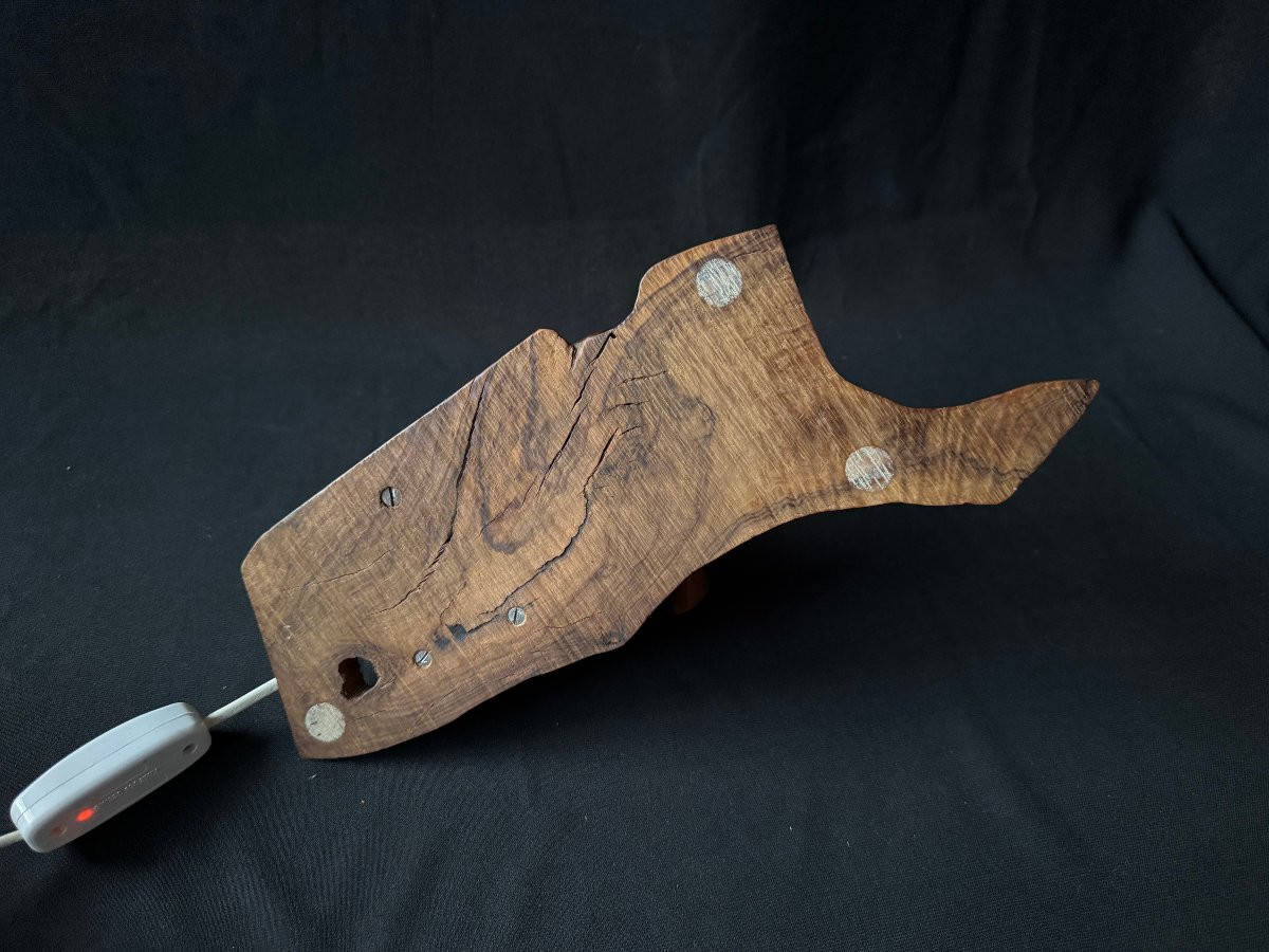 Monoxyle Olive Wood Lamp – French Artisanal Work, Mid-20th Century-photo-2