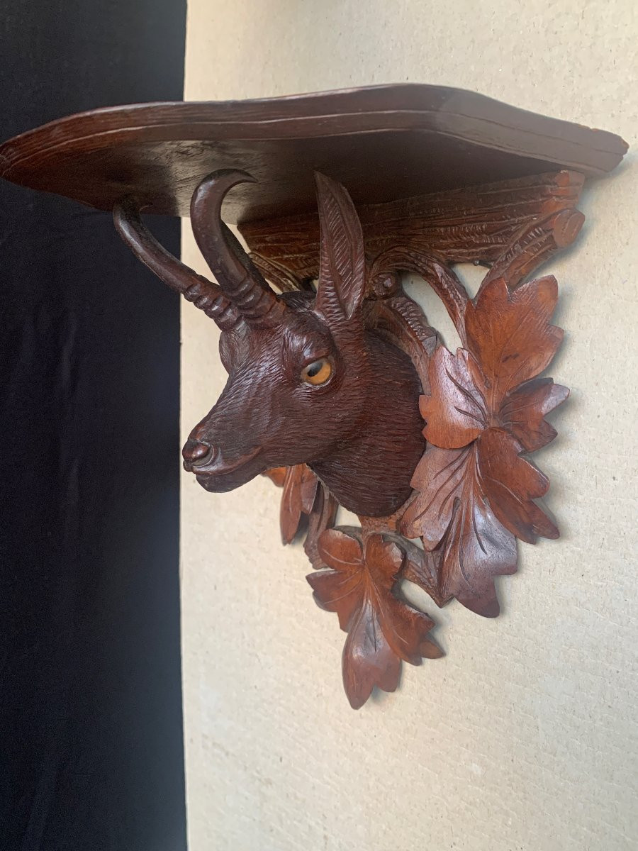 Two Shelves / Carved Wooden Chamois Head, Black Forest, Brienz, Switzerland, 19th Century-photo-4