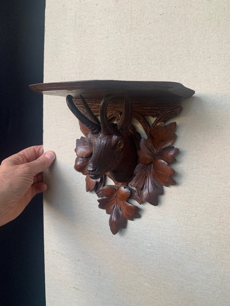 Two Shelves / Carved Wooden Chamois Head, Black Forest, Brienz, Switzerland, 19th Century-photo-1