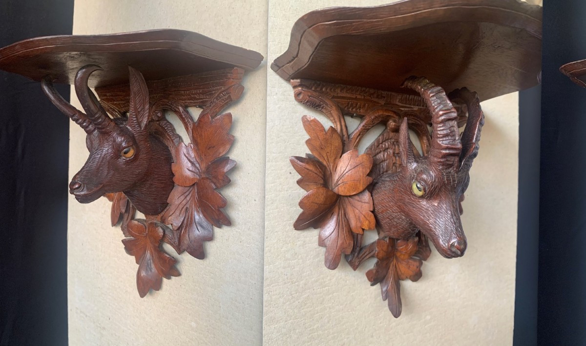 Two Shelves / Carved Wooden Chamois Head, Black Forest, Brienz, Switzerland, 19th Century