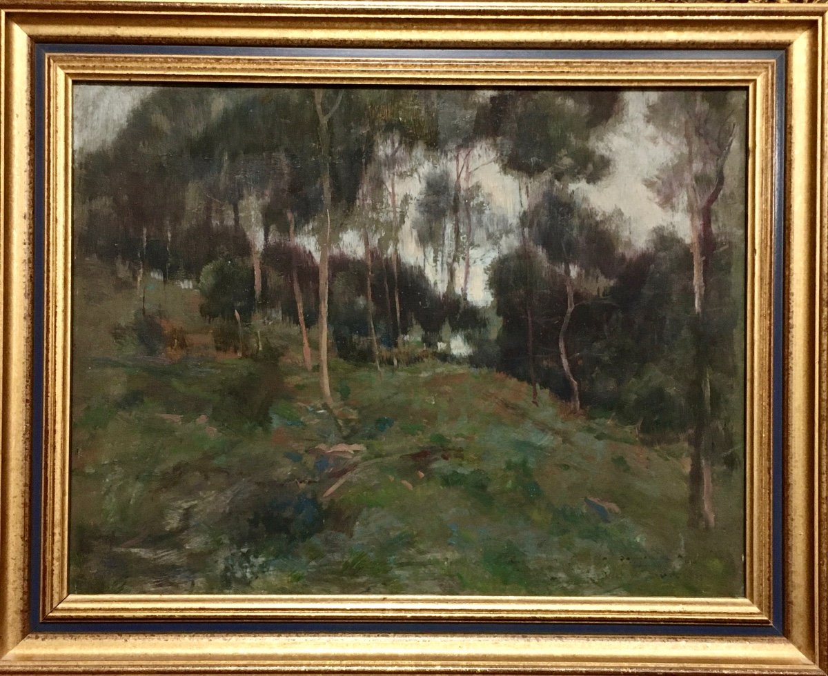 Painting Victor Charreton (1864-1936) Landscape
