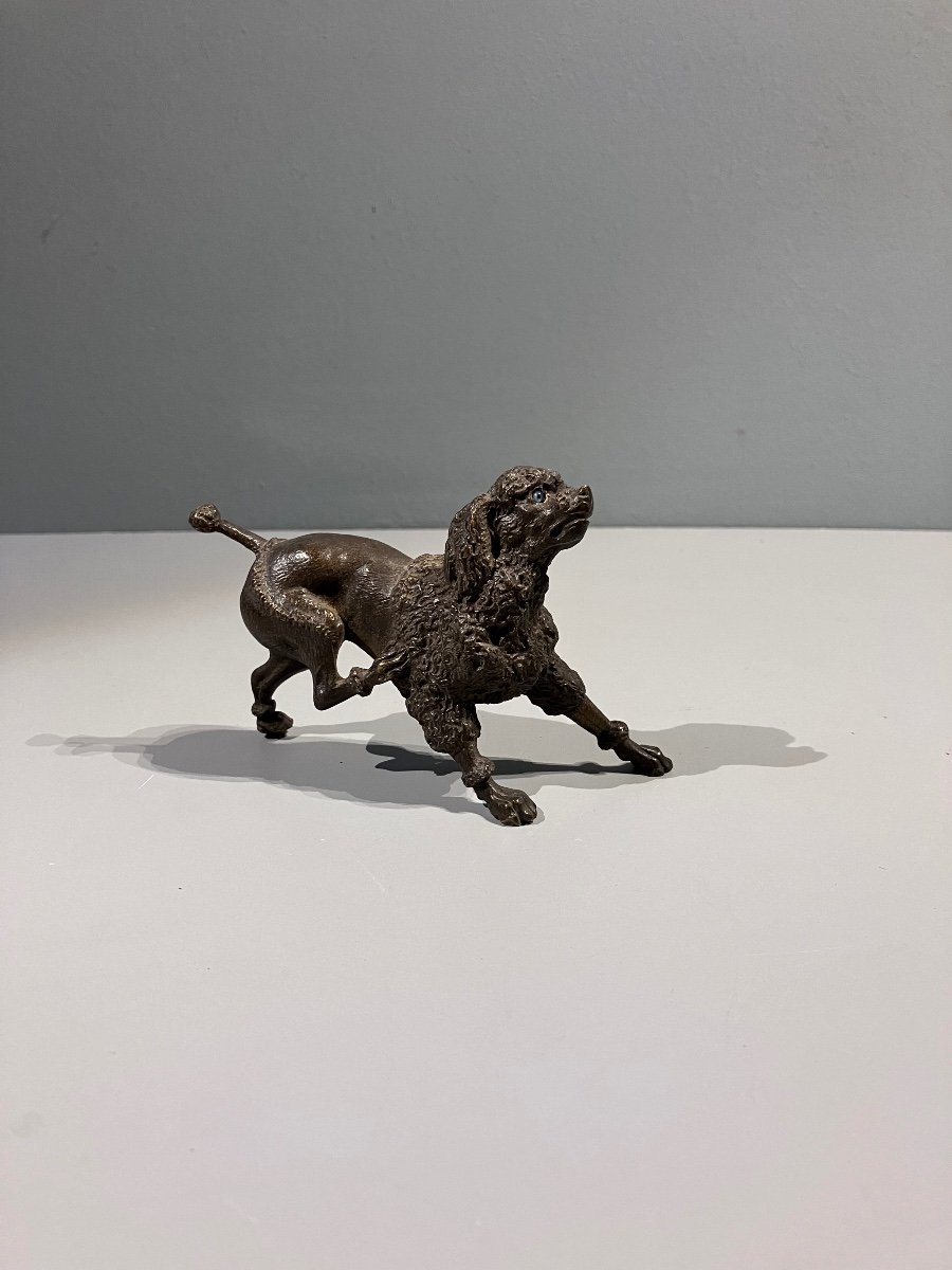 Royal Bronze Poodle 19th Century-photo-1