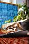 1783950-6a3be0e092e33.jpg
