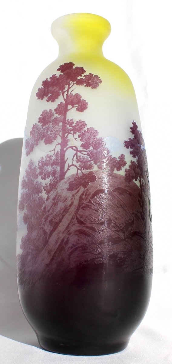 Large Galle Vase With Vosges Decor, 36 Cm, Perfect, Era Daum 1900-photo-7