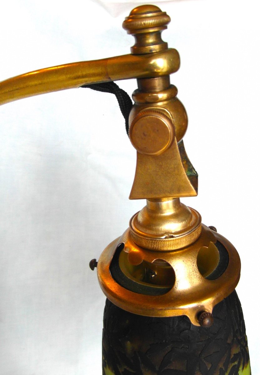 Beautiful 1900 Lamp "pulsatille Des Prés" By Daum, Era Galle Muller Art Nouveau-photo-7