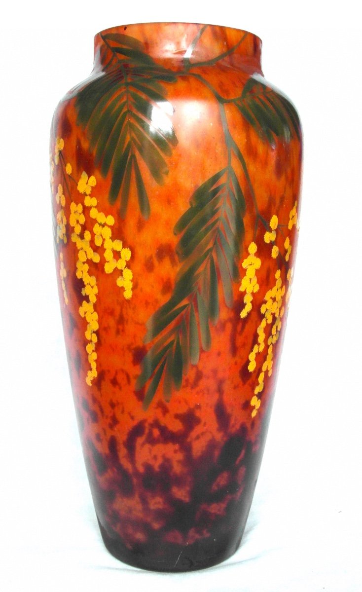 Beautiful Large Daum Vase With Mimosas, Belle Etoile Glassware, Perfect, Era Galle Art-deco Galle 1920-photo-2