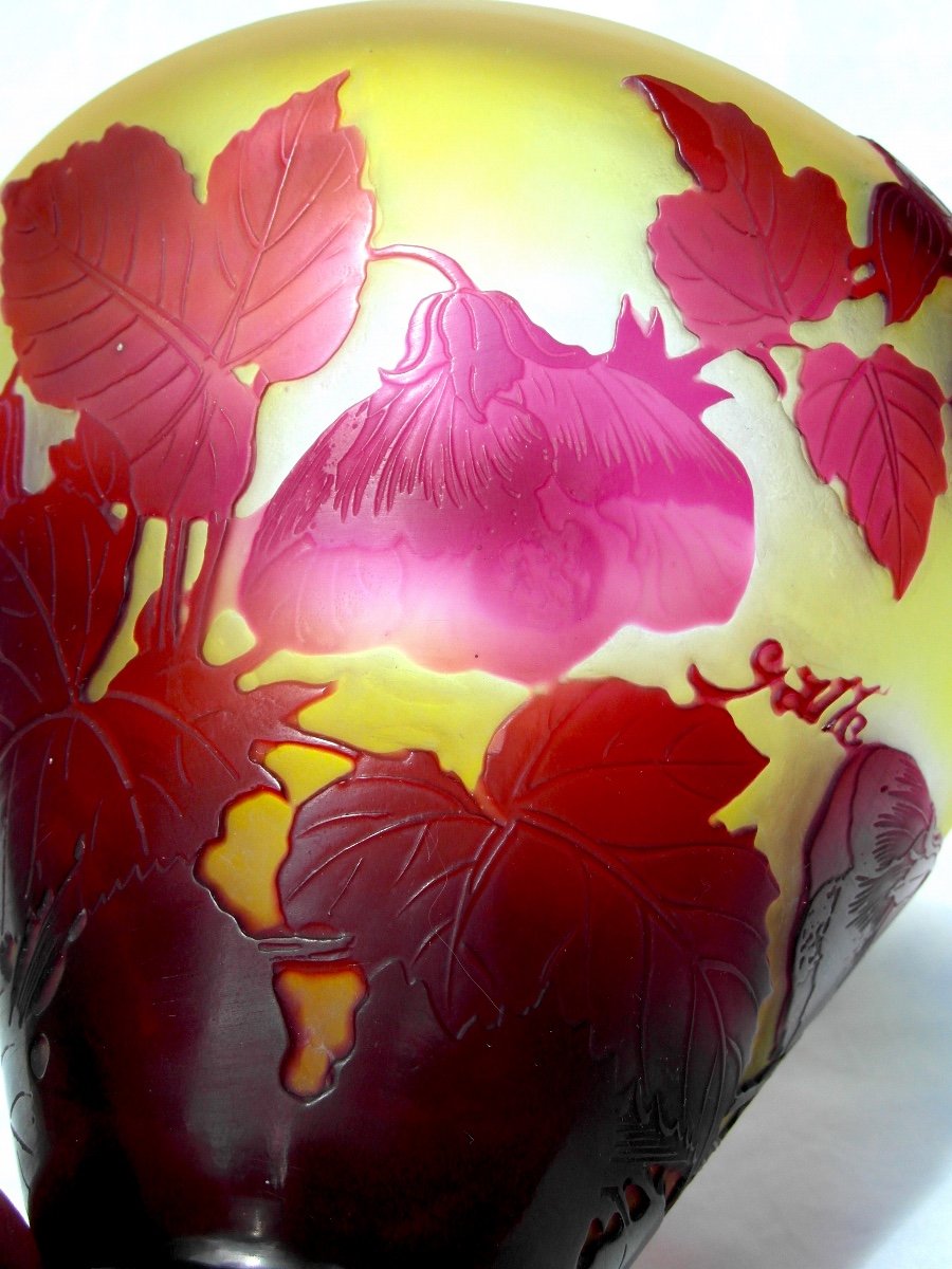 Charming Gallé Vase With Abutilon Decor, Perfect, Circa 1910, Era Daum Art Nouveau-photo-3