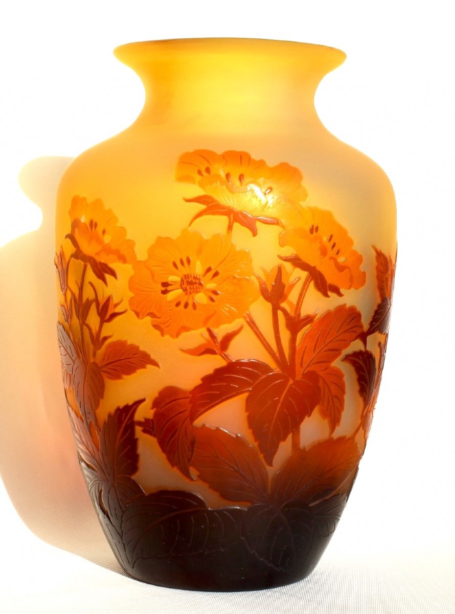 Beautiful Gallé Vase With Anemones, Fine Engraving, Perfect, Daum Era 1900-photo-2