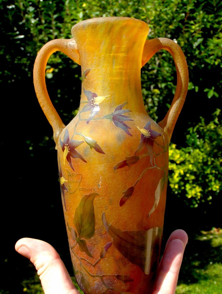 Daum Vase With Applied Handles Decorated With Solanaceae, Galle Era 1900-photo-5