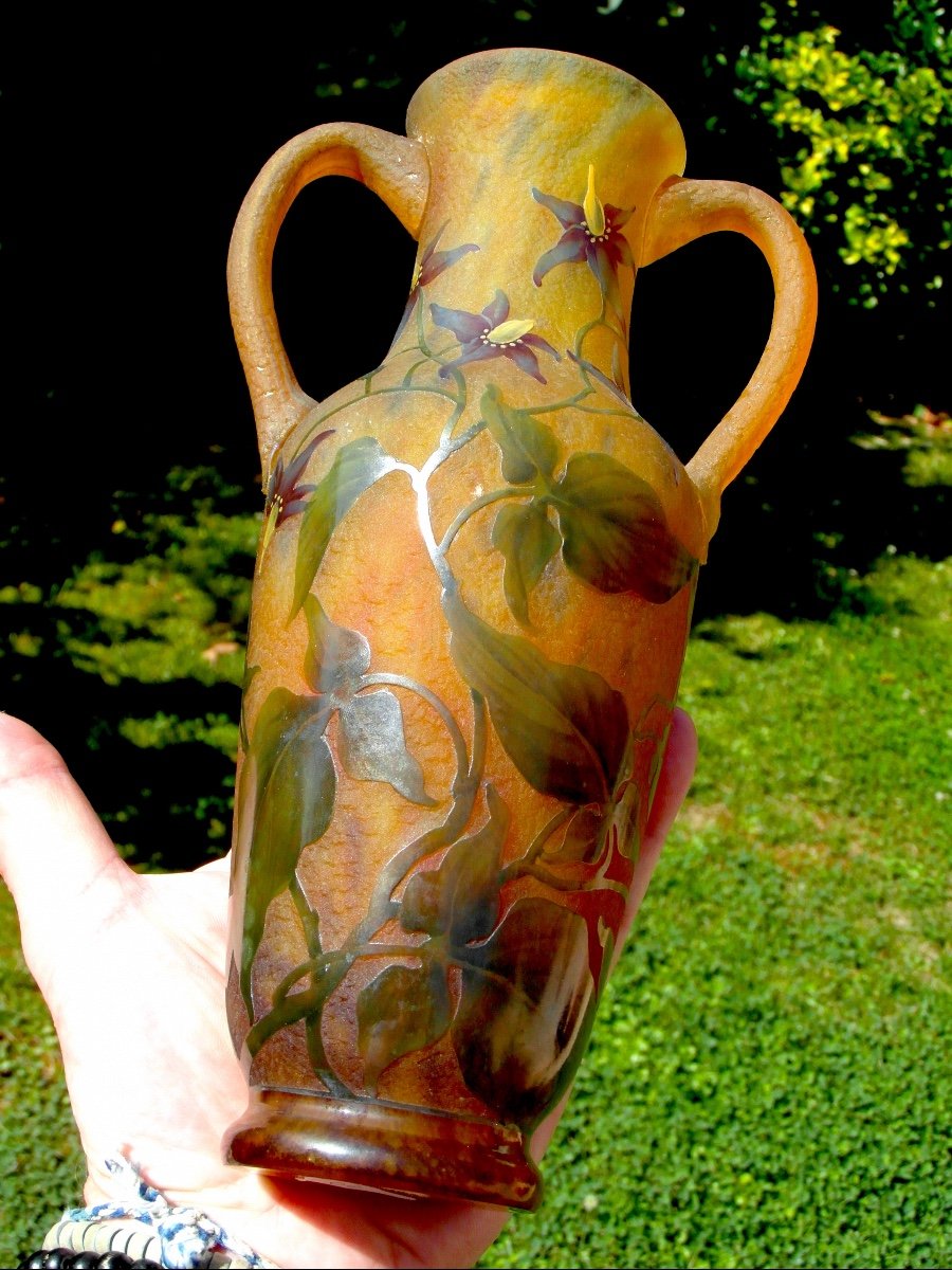 Daum Vase With Applied Handles Decorated With Solanaceae, Galle Era 1900-photo-7