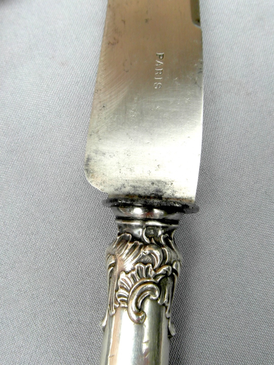 Fine Leg Of Lamb And Salad Service With Floral And Insect Decoration, In Silver, Original Box, 1900-photo-5